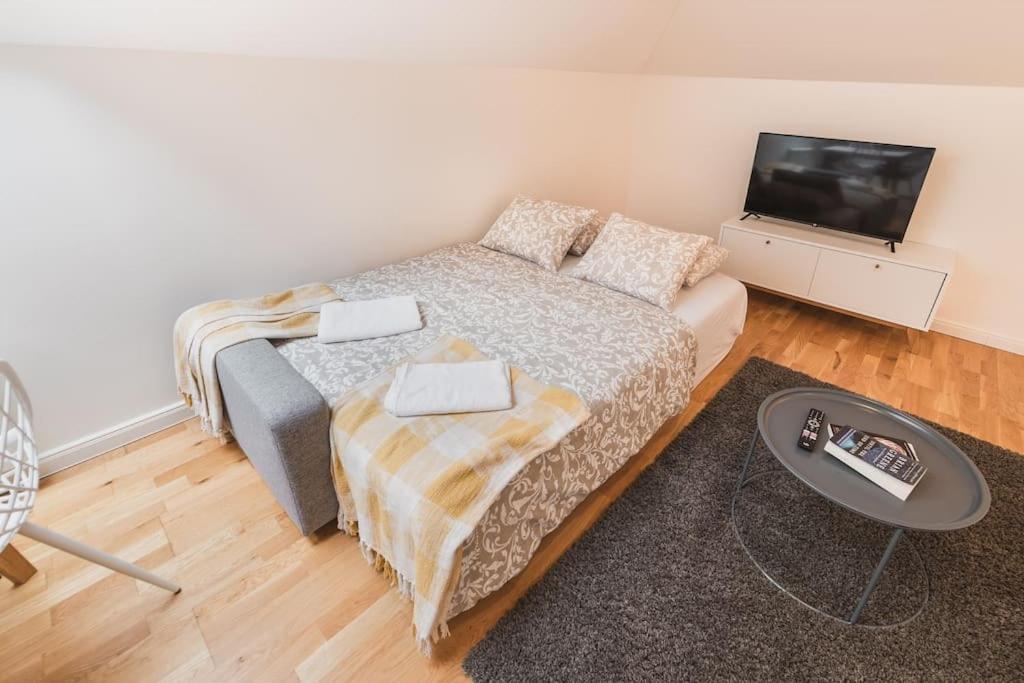 Imperial Loft Apartment Prag